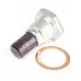 Magnetic Drain Plug - Rear Diff - DSM / EVO