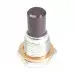 Magnetic Drain Plug - Rear Diff - DSM / EVO