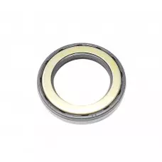 Input Oil Seal - EVO