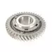 1st Gear - Focus