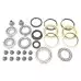 Focus RS Rebuild Kit